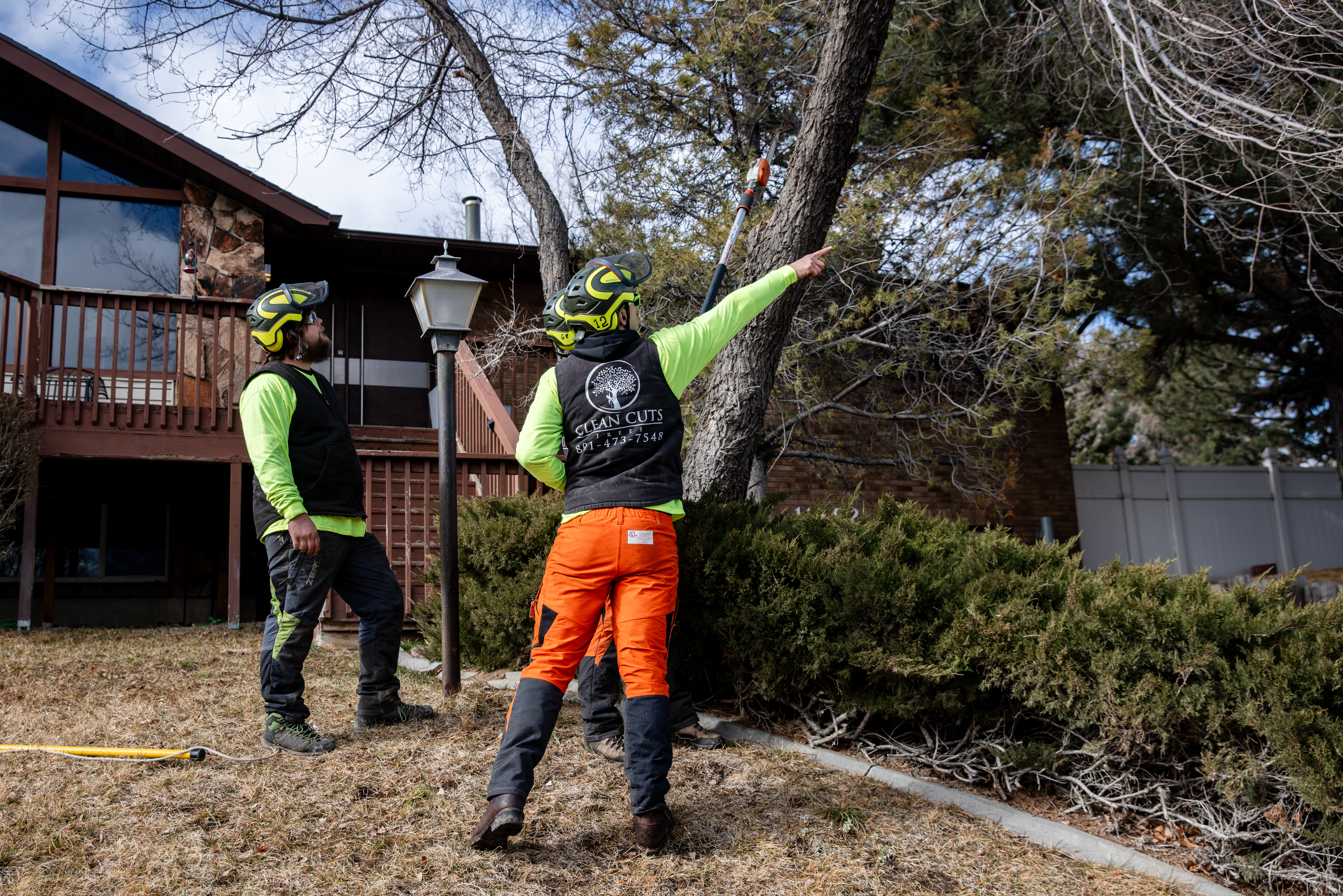 Professional tree service in St. George, Utah - Clean Cuts Trees serving Southern Utah with expert tree care, removal, and emergency services