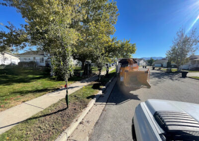 Professional Land Clearing Services