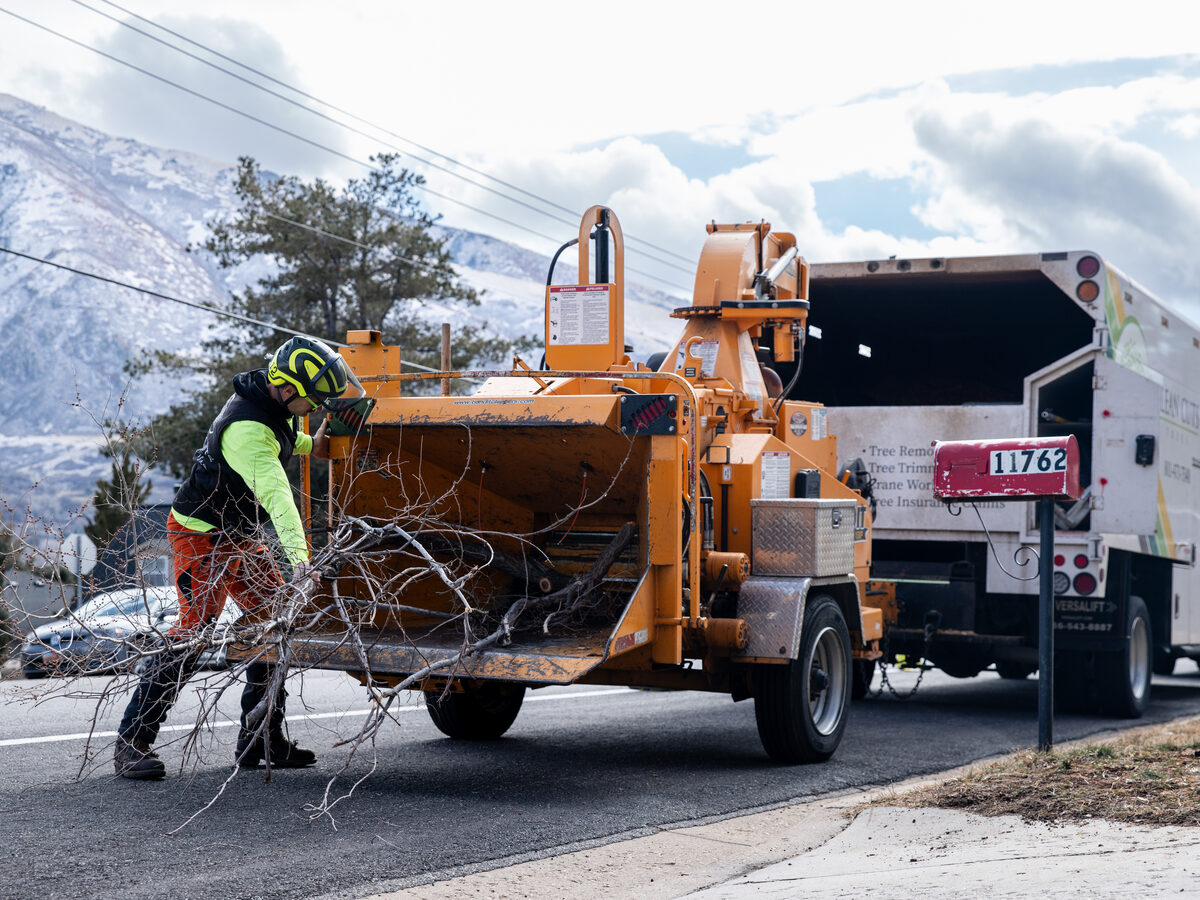 Professional Land Clearing Services